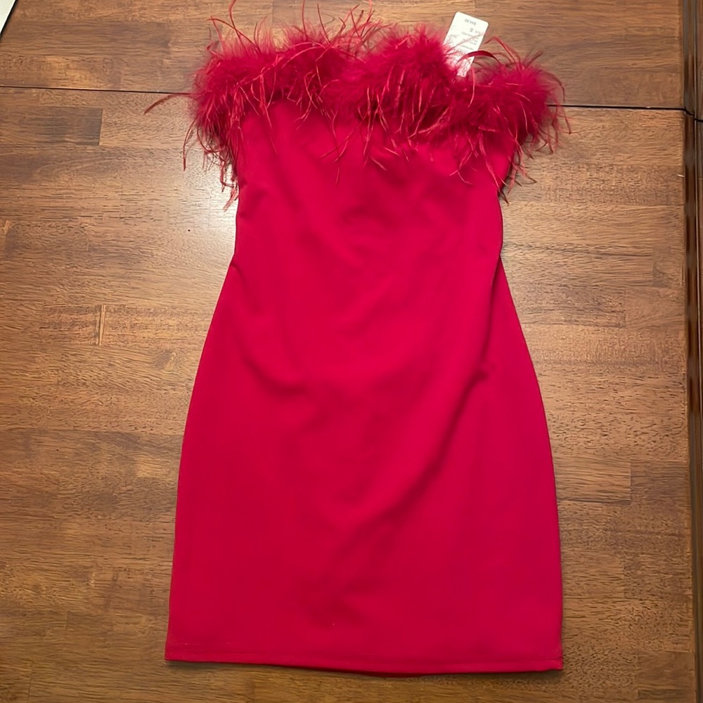 NWT size Small red windsor dress with feathers at top